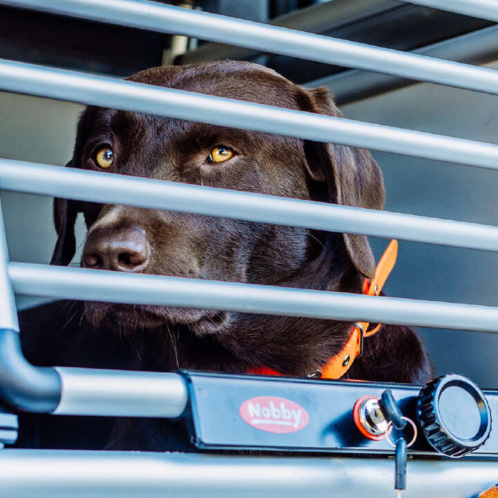 Nobby Aluminium Autotransportbox Round Corner